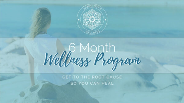6 Month Wellness Program